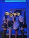 清涩换装主题spa