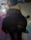 金水区巨乳少妇